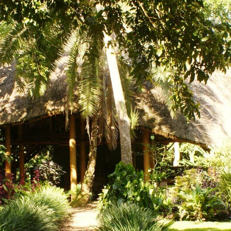Kibale Forest Camp
