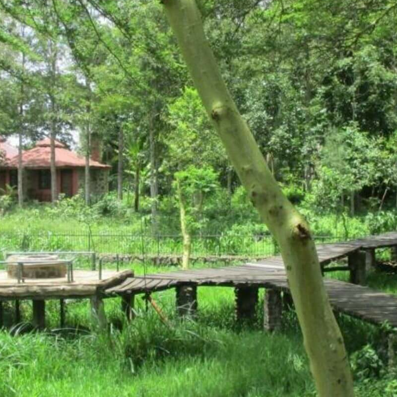 Kiboko Lodge