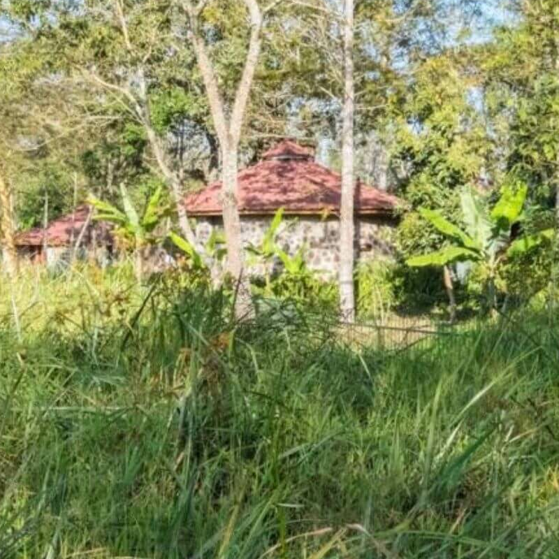 Kiboko Lodge