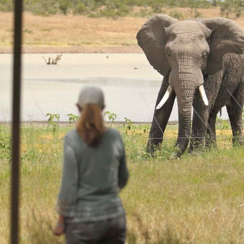 Kicheche Laikipia Camp