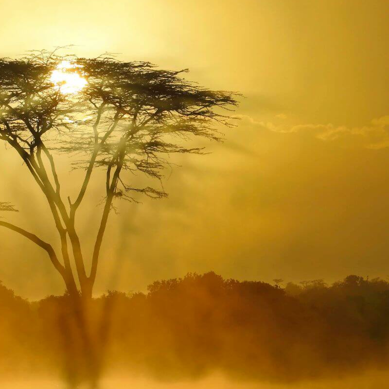 Kicheche Laikipia Camp