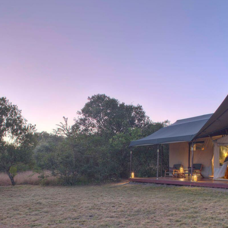 Kicheche Laikipia Camp