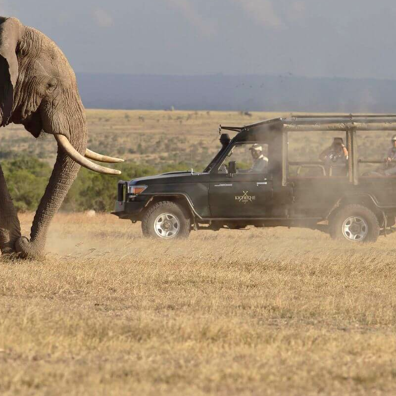 Kicheche Laikipia Camp