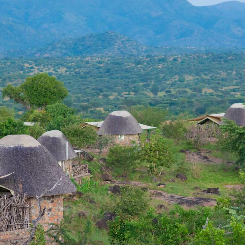 Kidepo Savannah Lodge