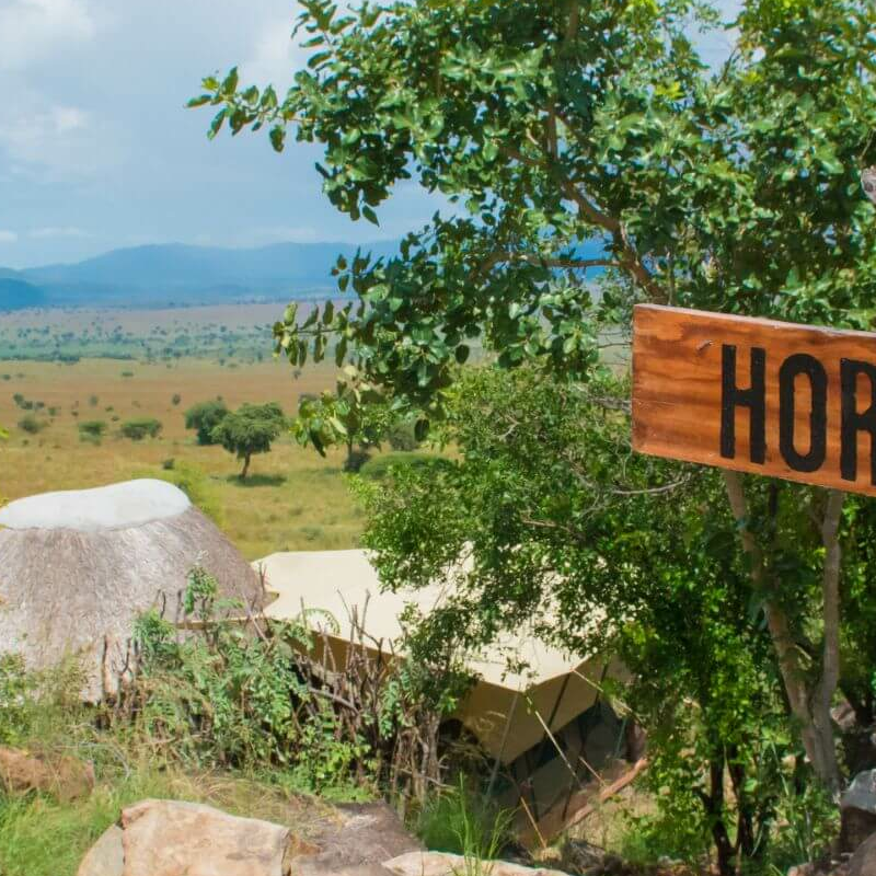 Kidepo Savannah Lodge