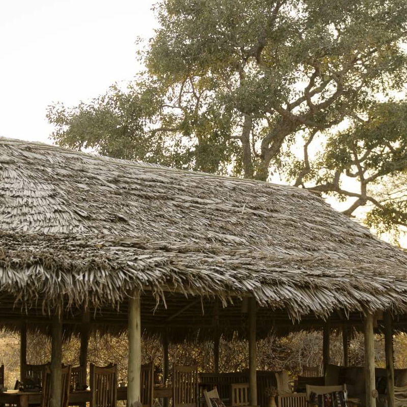 Kigelia Camp