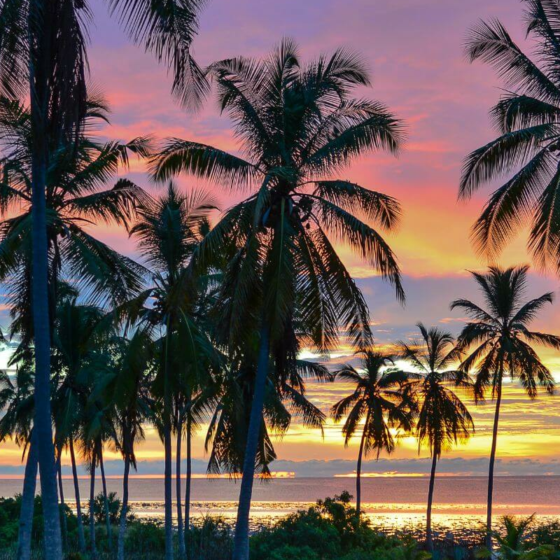 Kijongo Bay Beach Resort
