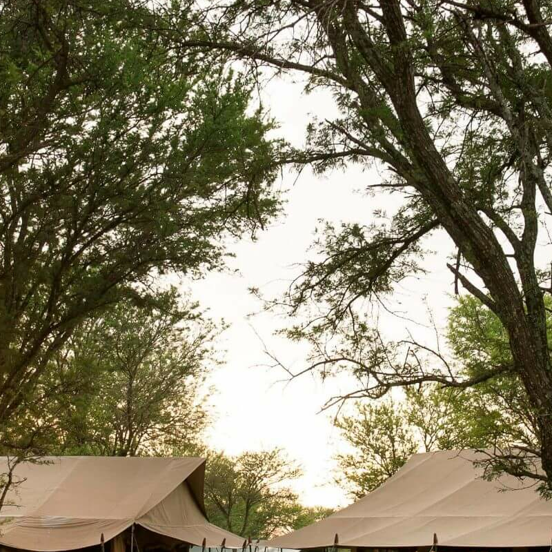 Kimondo Kusini Camp
