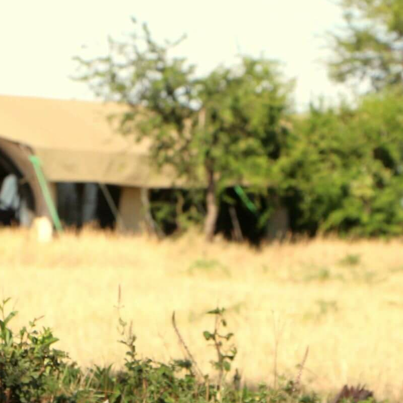 Kimondo Mara Camp