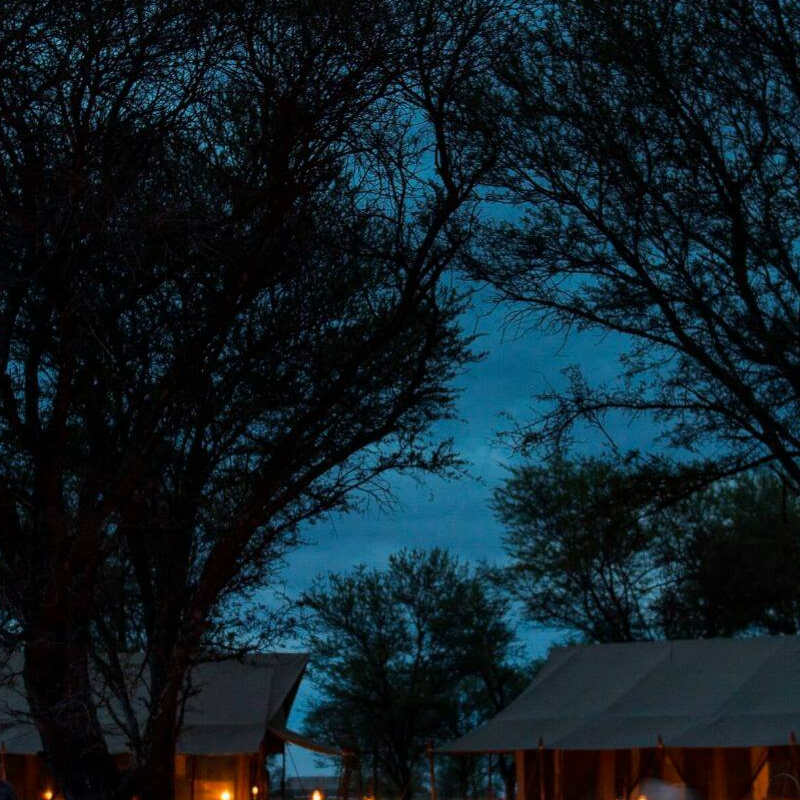 Kimondo Mara Camp
