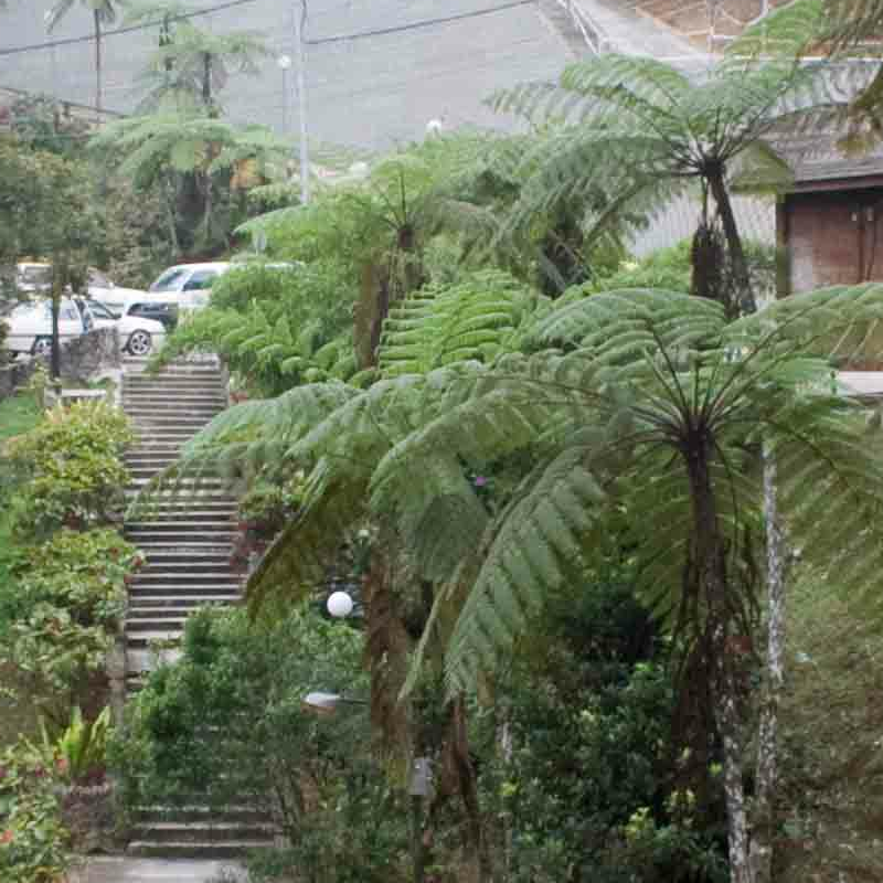 Kinabalu Park Hotel