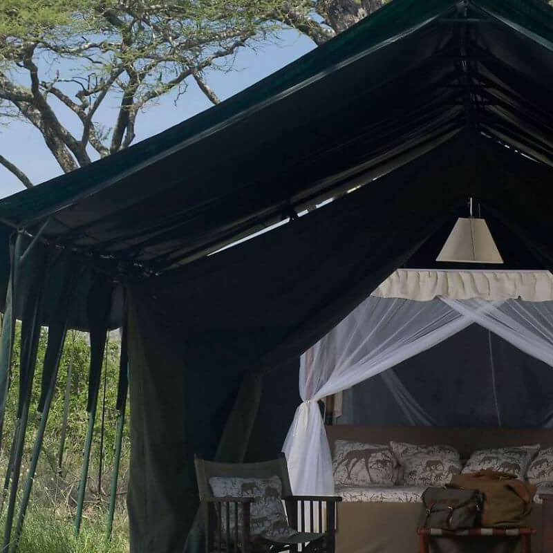 Kirurumu Serengeti Camp