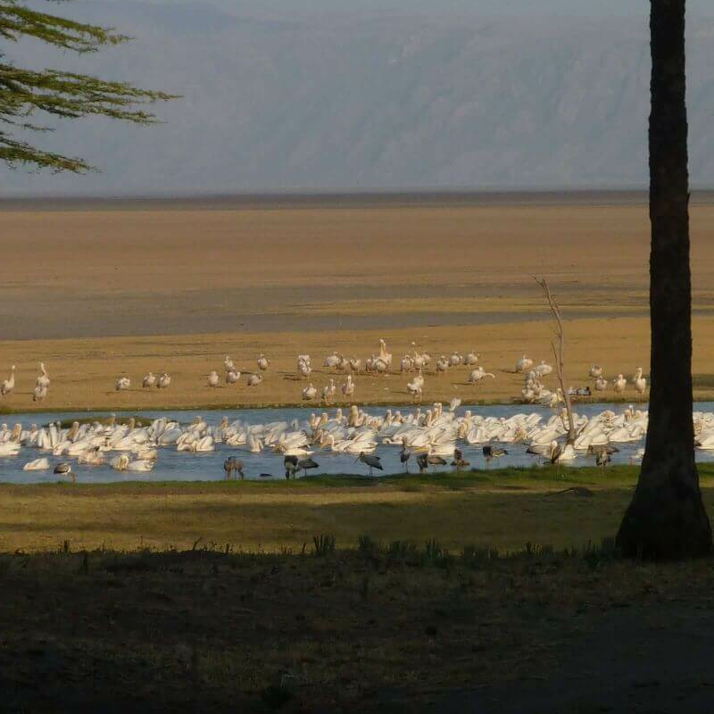 Kisima Ngeda Tented Camp