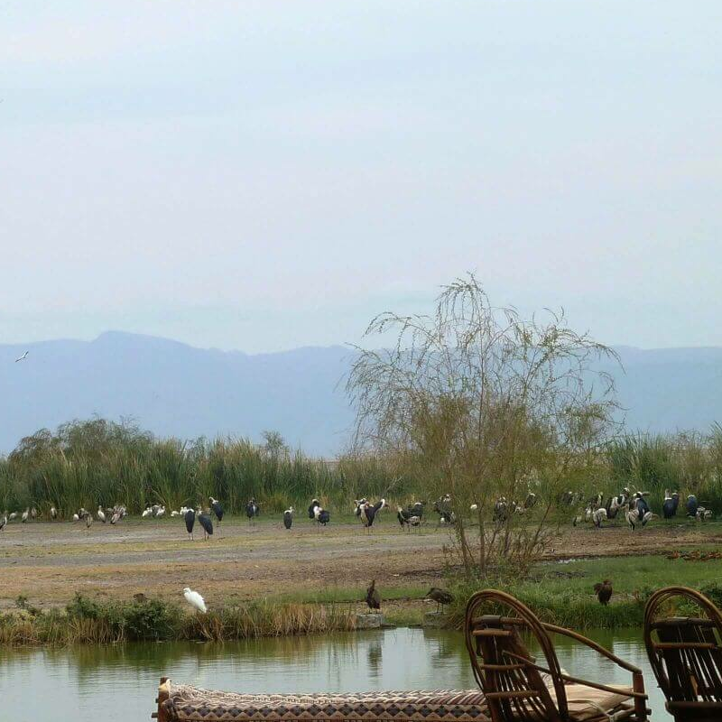 Kisima Ngeda Tented Camp