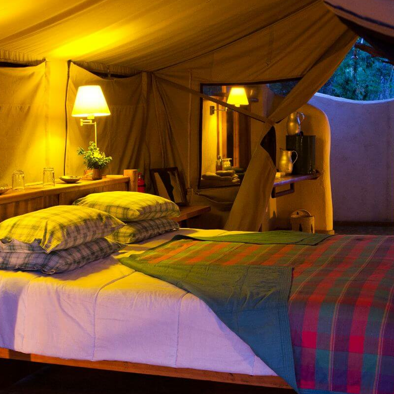 Kitich Forest Camp