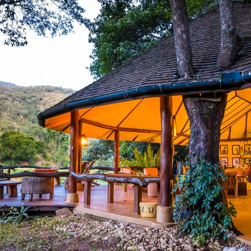 Kitich Forest Camp
