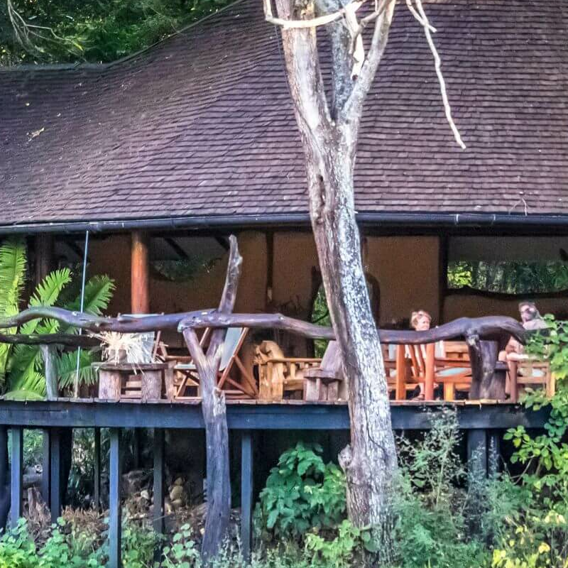 Kitich Forest Camp