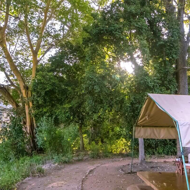 Kitich Forest Camp
