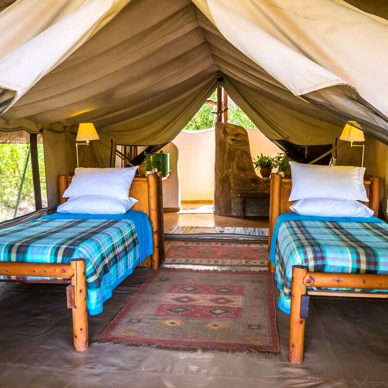 Kitich Forest Camp