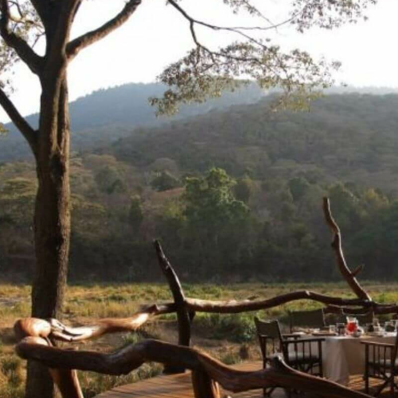 Kitich Forest Camp