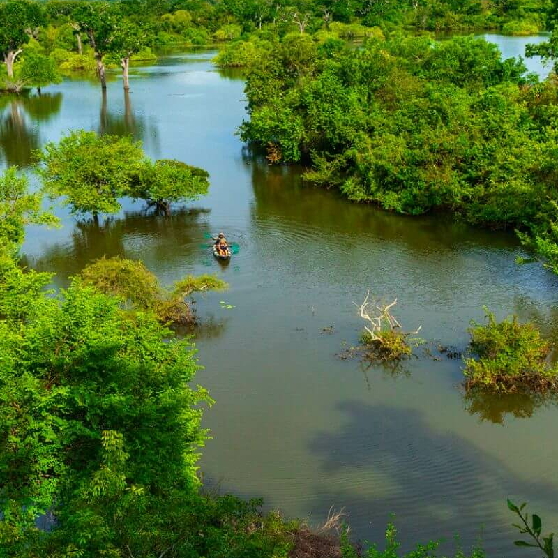 Kulu Safaris Yala