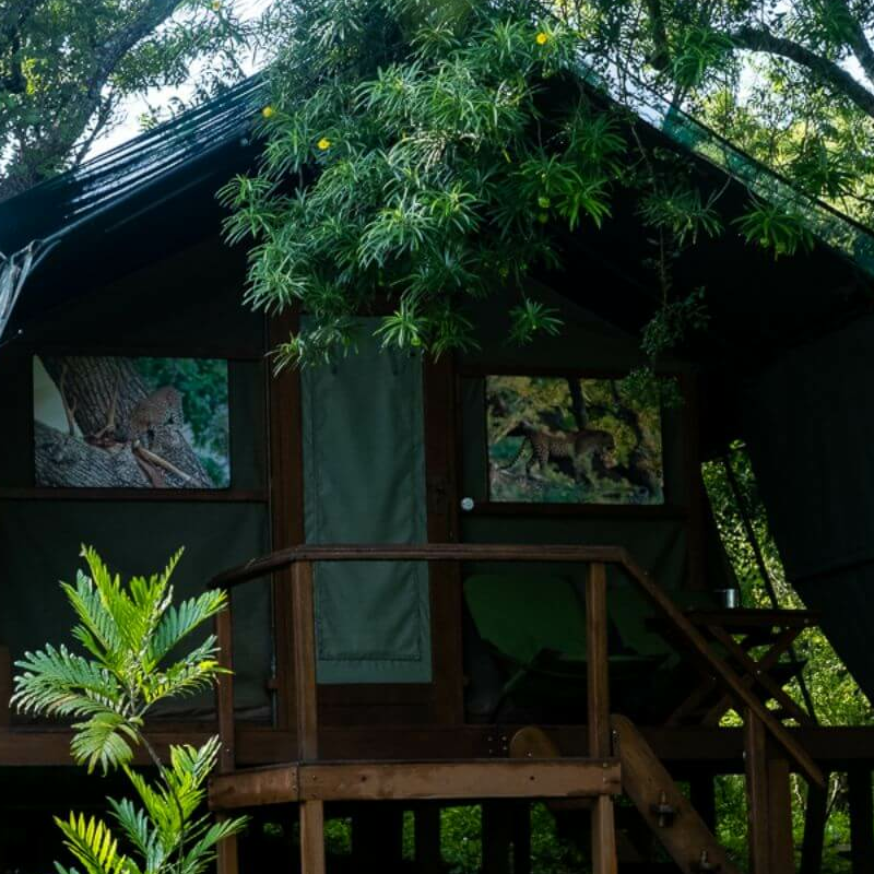 Kulu Safaris Yala