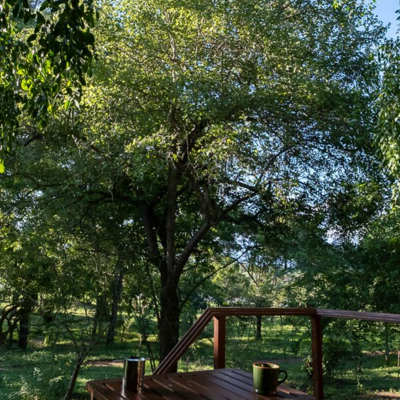 Kulu Safaris Yala