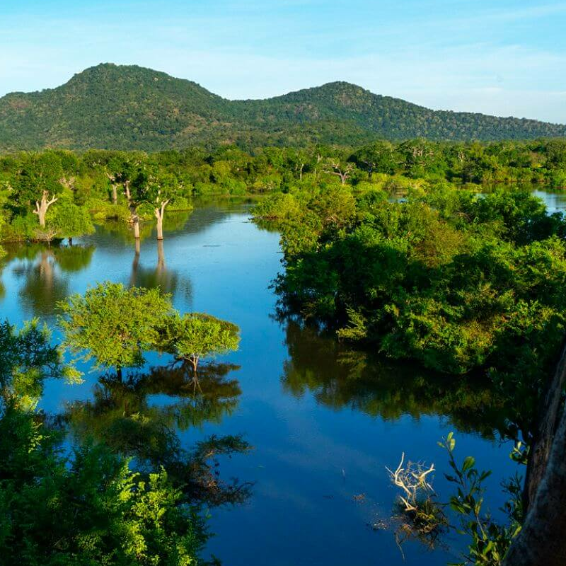 Kulu Safaris Yala