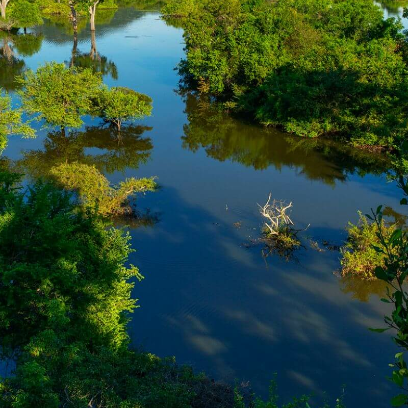 Kulu Safaris Yala