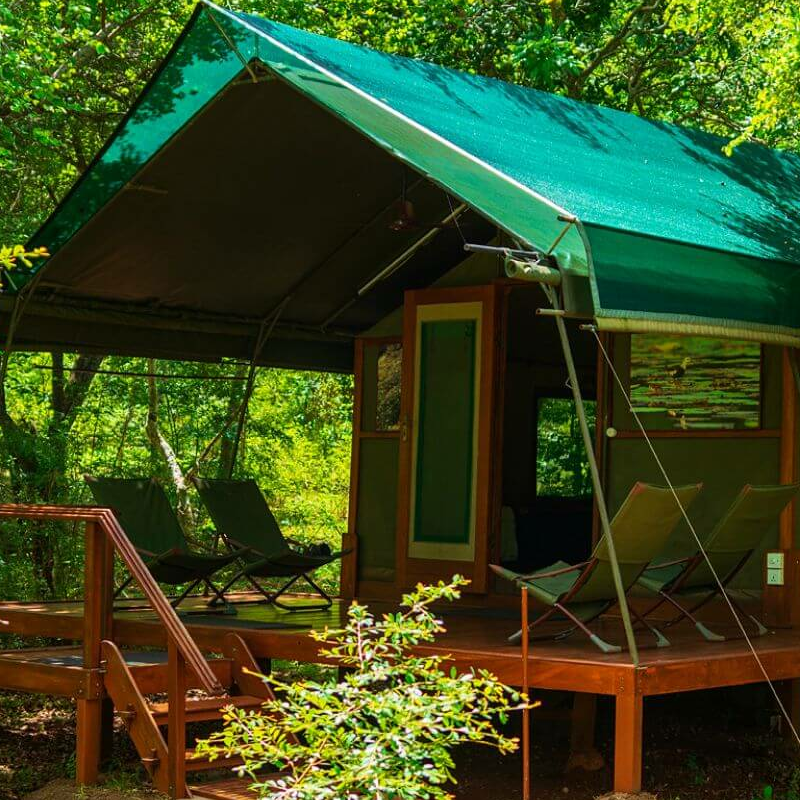 Kulu Safaris Yala