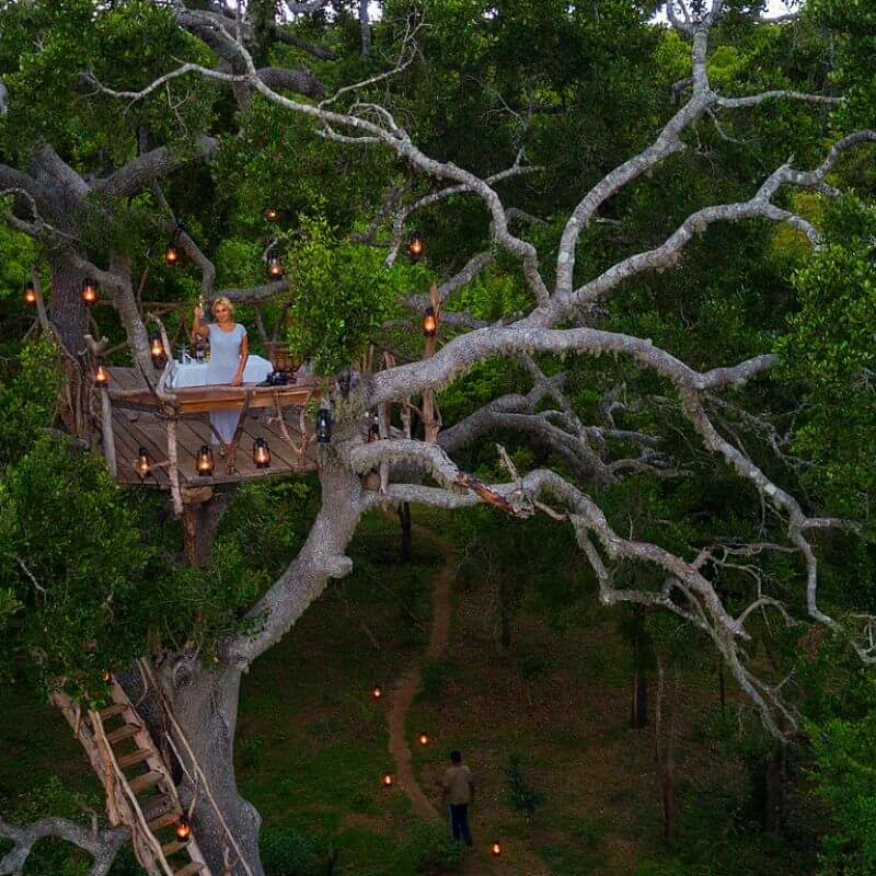 Kulu Safaris Yala