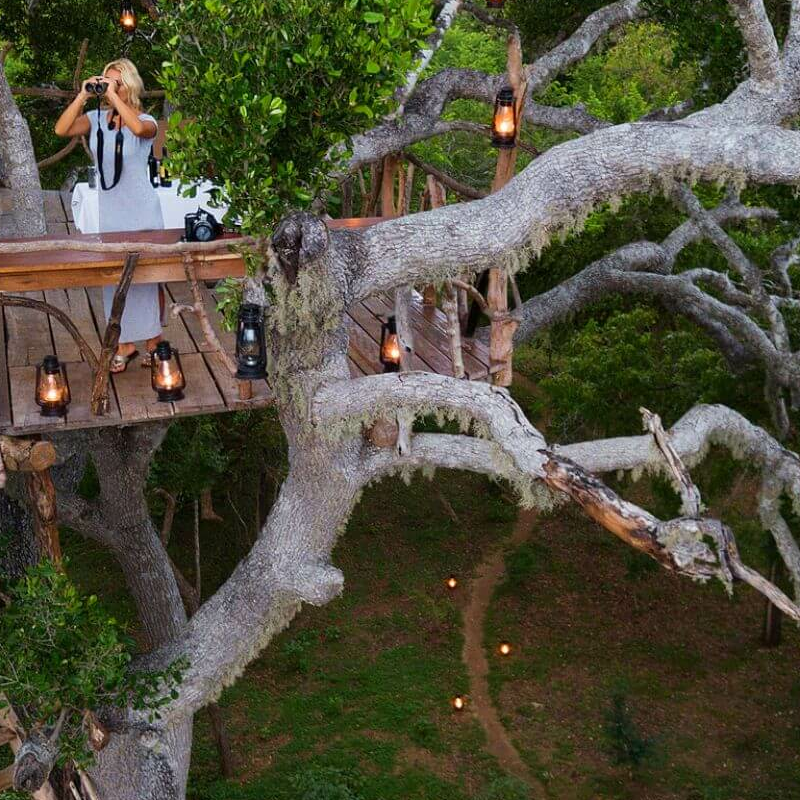 Kulu Safaris Yala