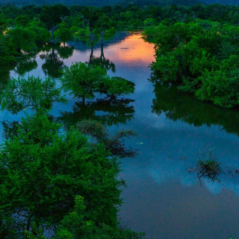 Kulu Safaris Yala