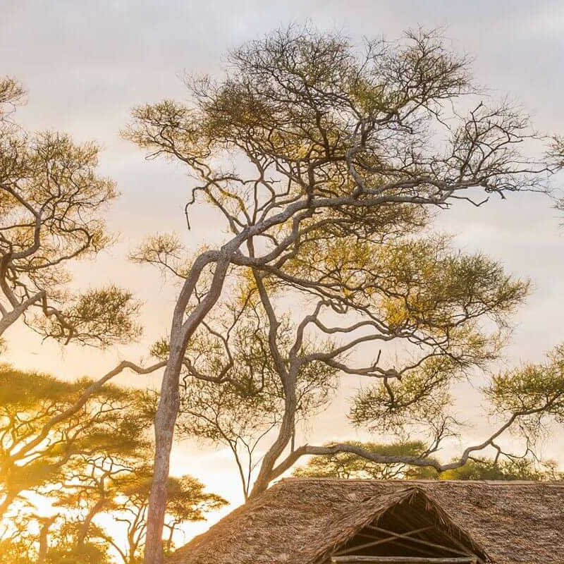 Kuro Tarangire Camp