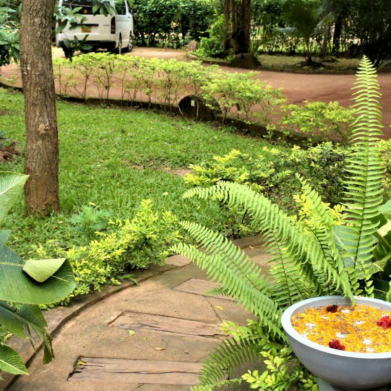 Kuwera Eco Lodge