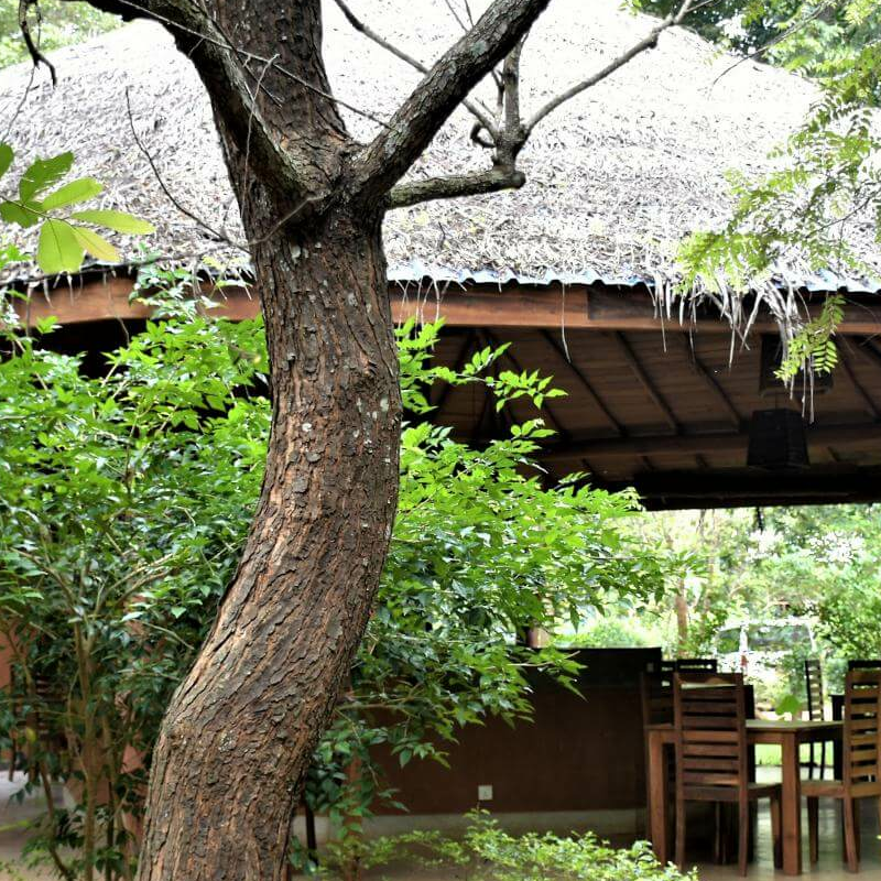 Kuwera Eco Lodge