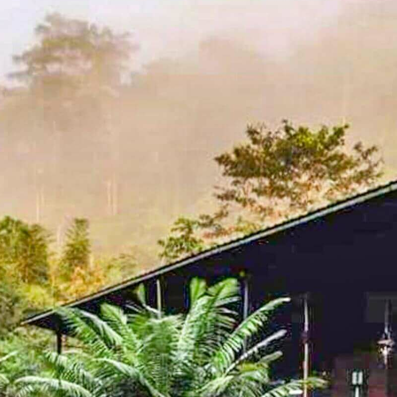 Kuyana Amazon Lodge
