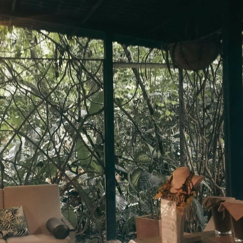 Kuyana Amazon Lodge