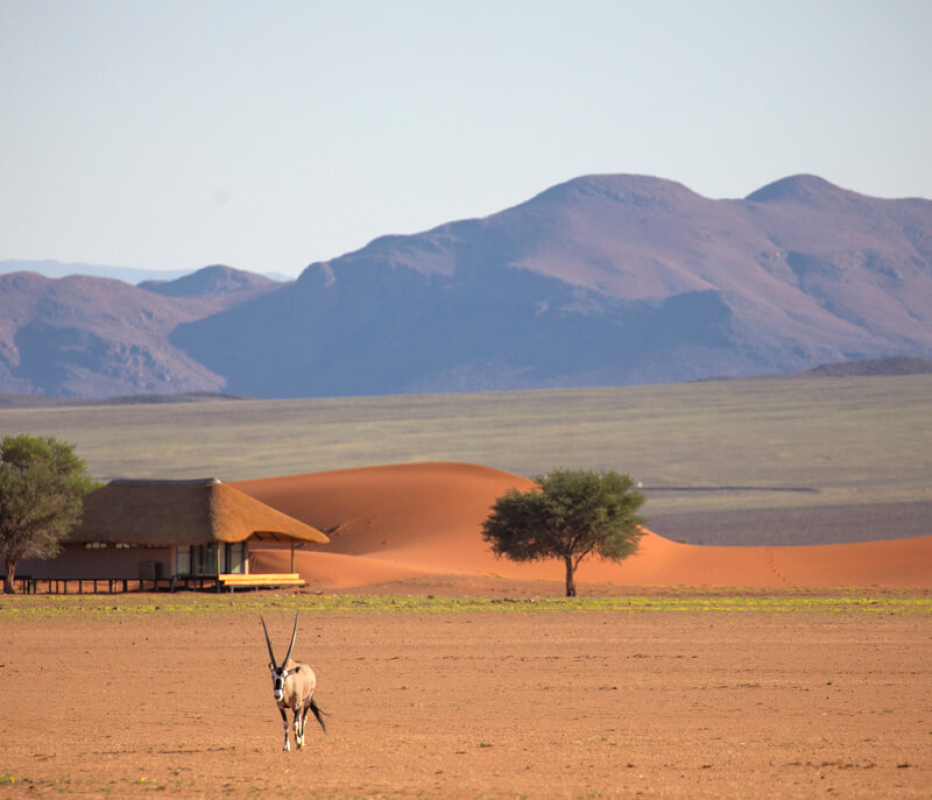 Kwessi Dunes Lodge