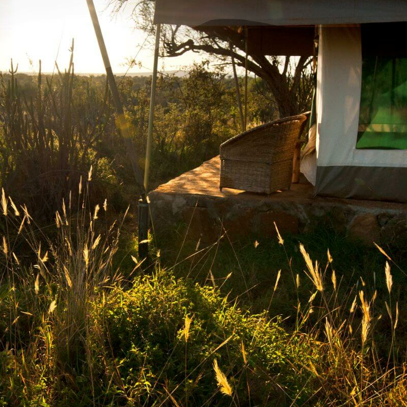 Laikipia Wilderness Camp