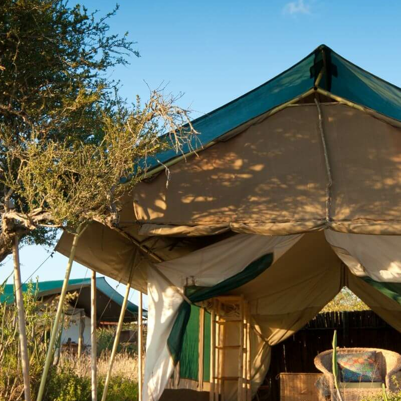 Laikipia Wilderness Camp
