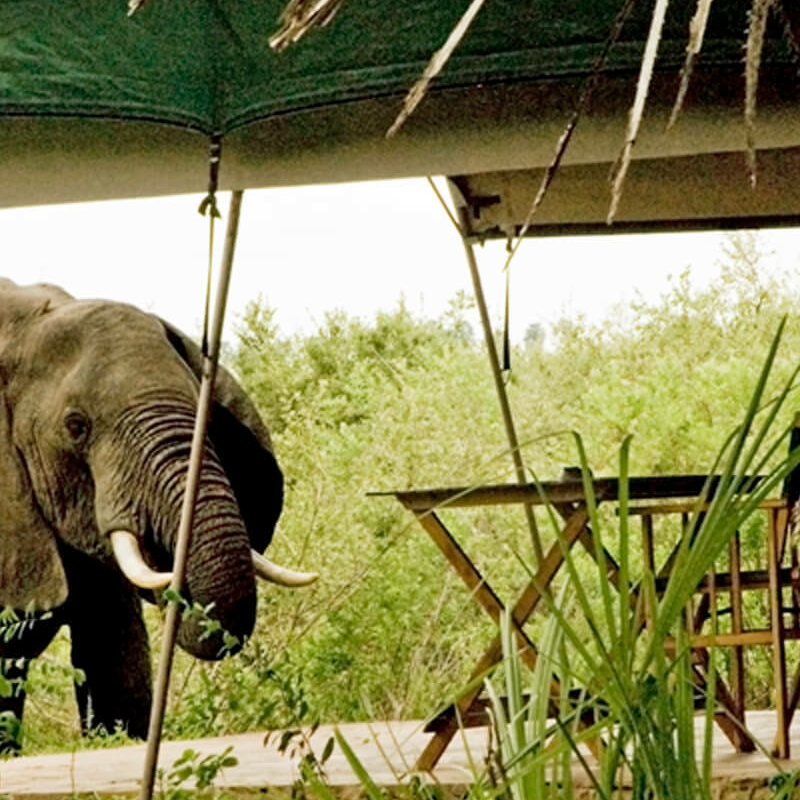 Lake Manze Tented Camp