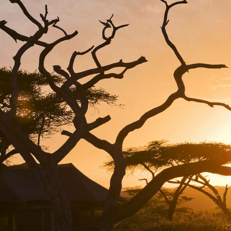 Lake Masek Tented Camp