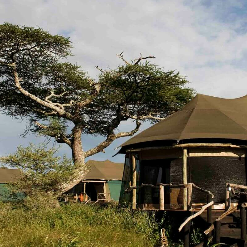 Lake Masek Tented Camp