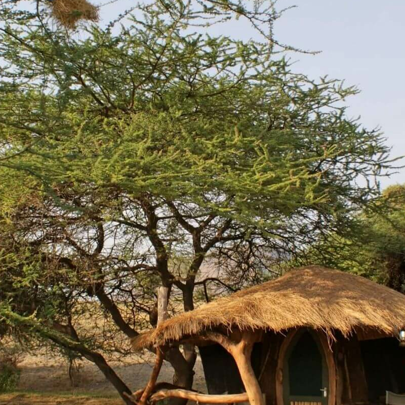 Lake Natron Camp