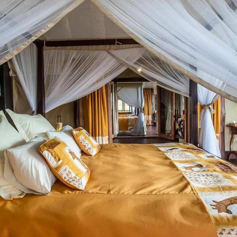 Lake Ndutu Luxury Lodge