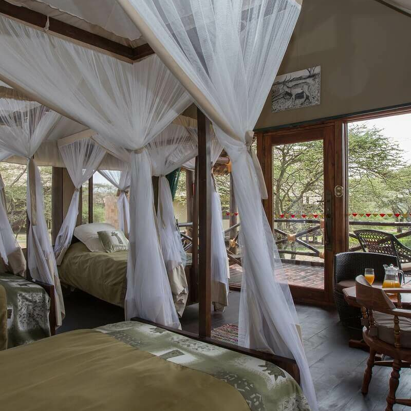 Lake Ndutu Luxury Lodge