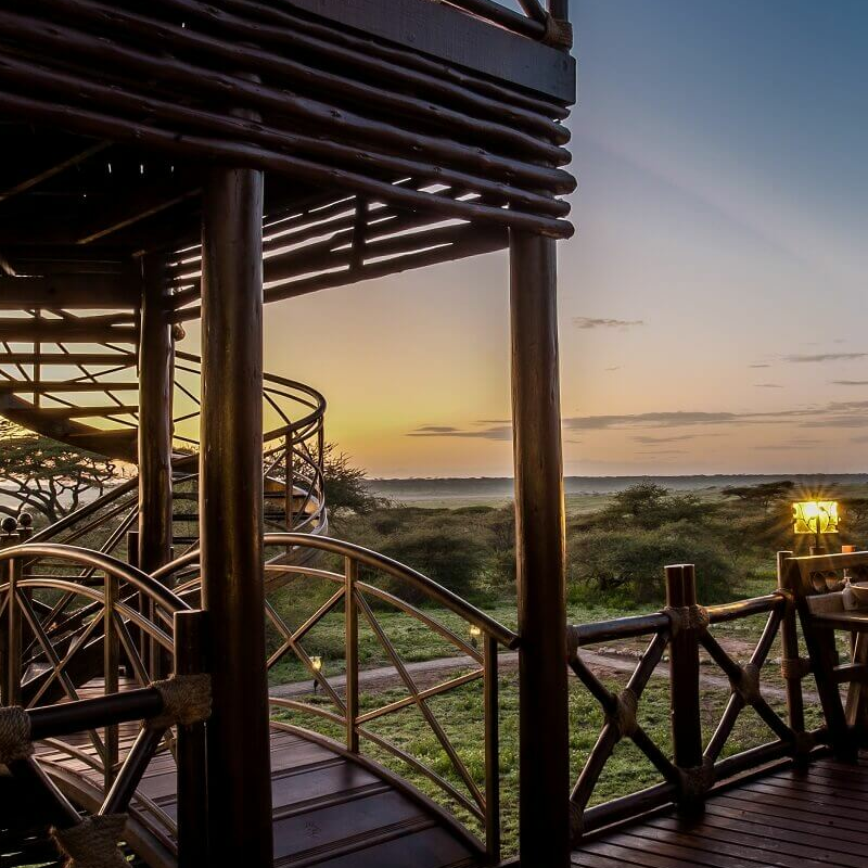 Lake Ndutu Luxury Lodge