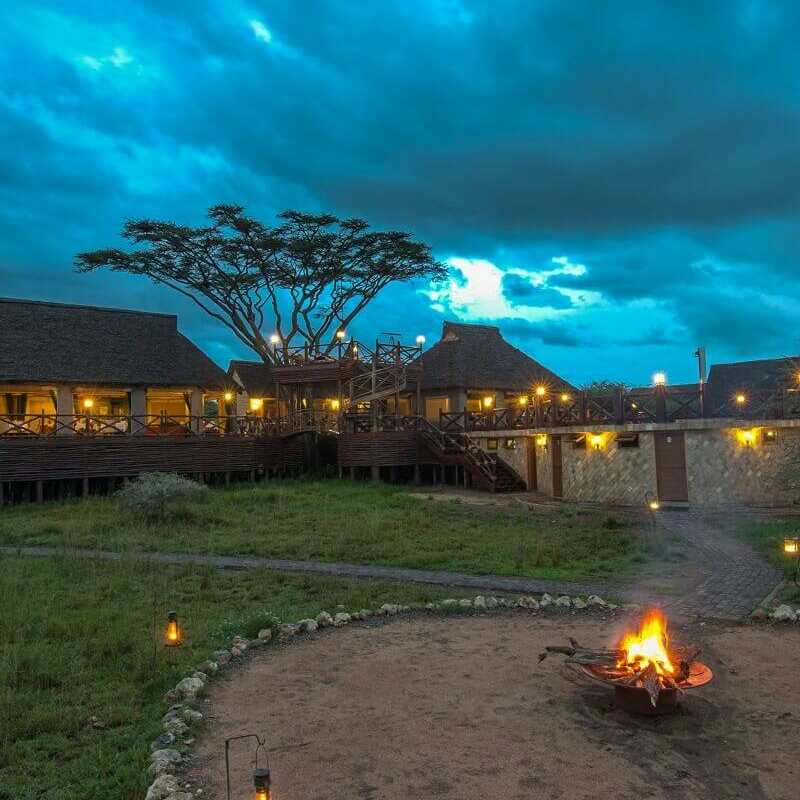 Lake Ndutu Luxury Lodge