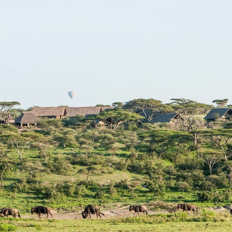 Lake Ndutu Luxury Lodge